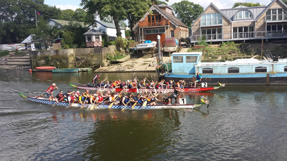 Dragon Boat  - Twickenham Alive 2015